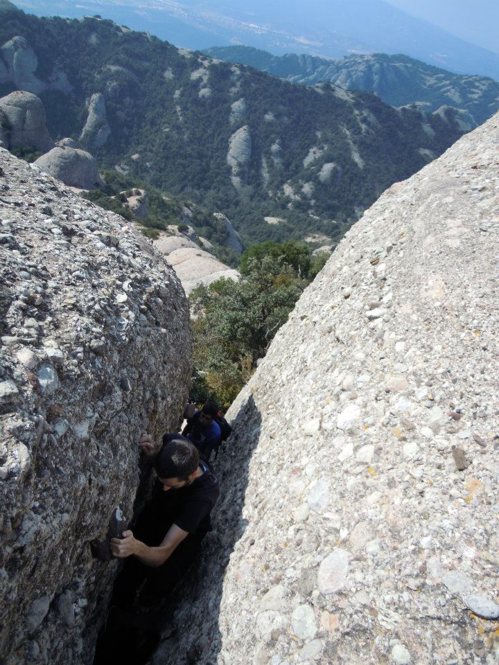 L'elefant a montserrat