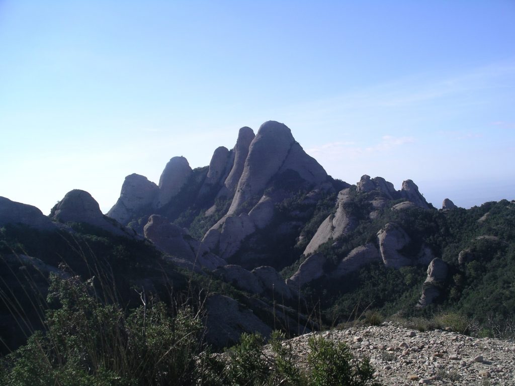 L'elefant a montserrat