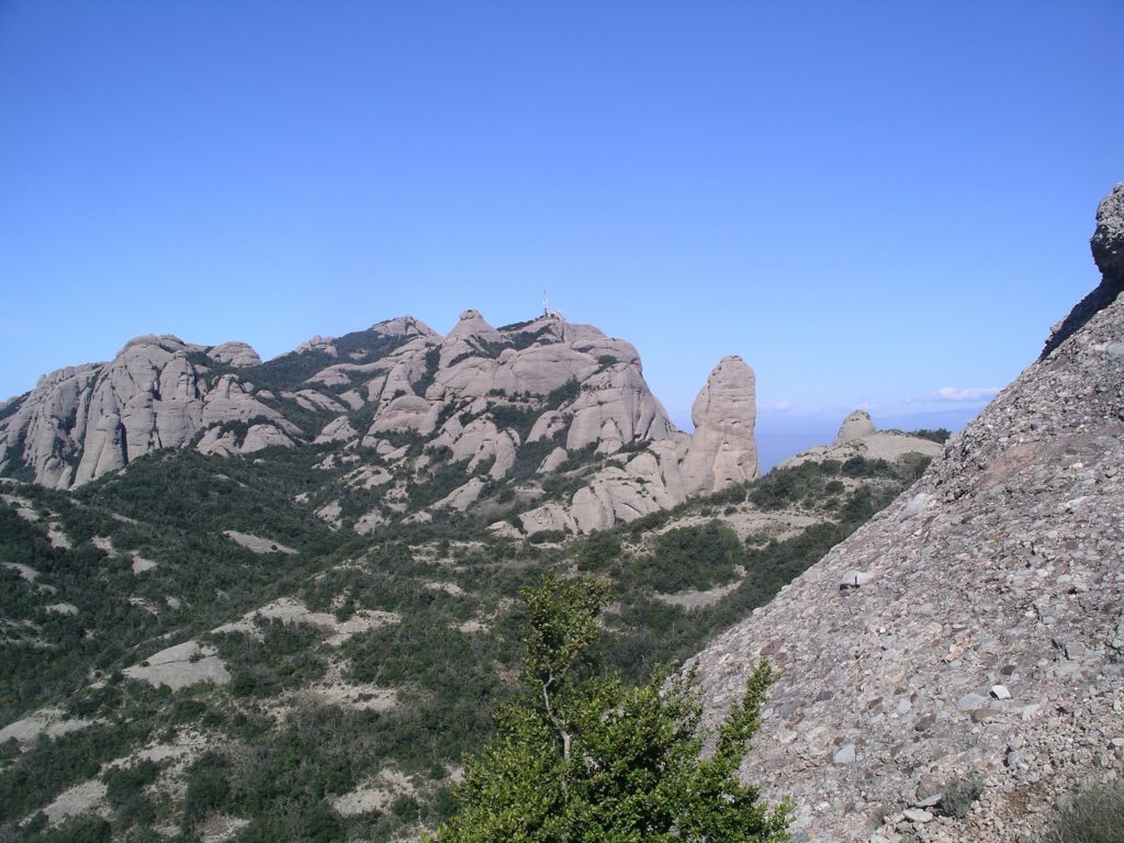 L'elefant a montserrat
