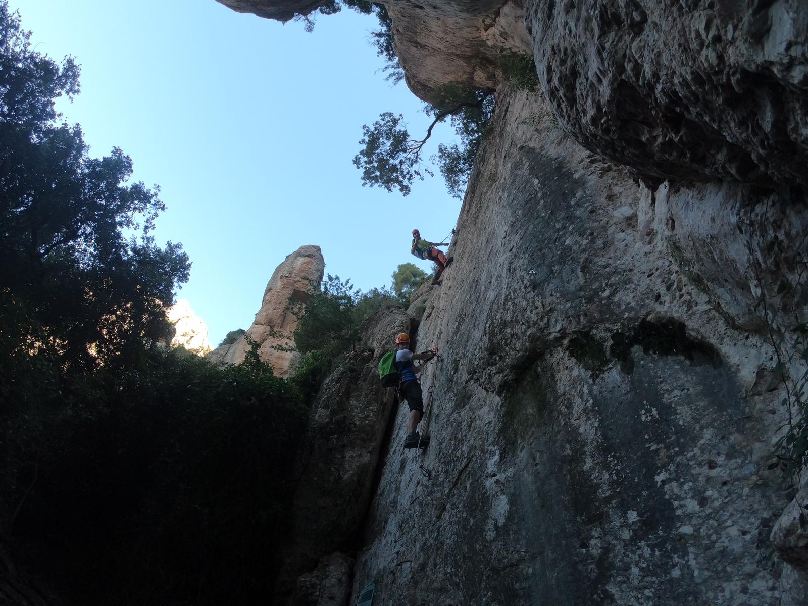 WhatsApp Image 2020-11-12 at 21.08.27 (8)