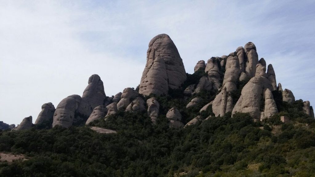 L'elefant a montserrat
